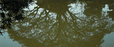 ka-nøng kruän / คนึงครวญ